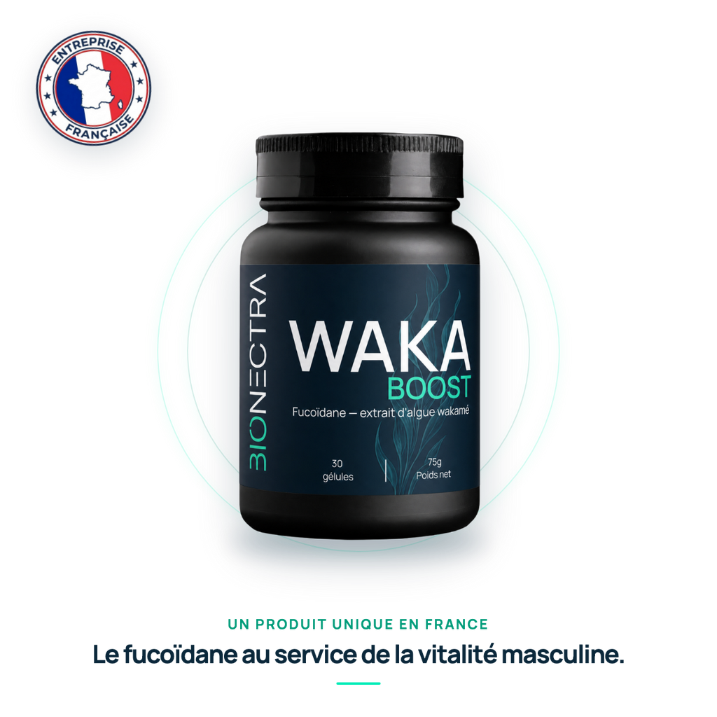 WAKA-BOOST