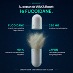WAKA-BOOST