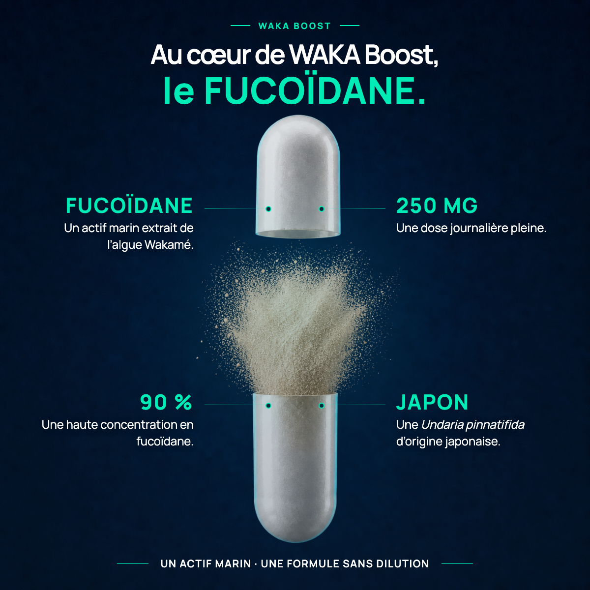 WAKA-BOOST
