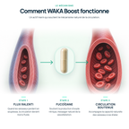 WAKA-BOOST