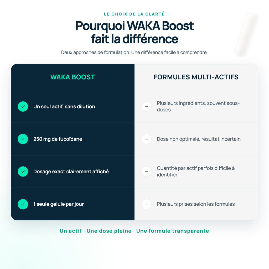WAKA-BOOST