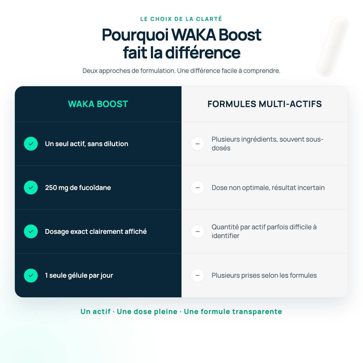WAKA-BOOST